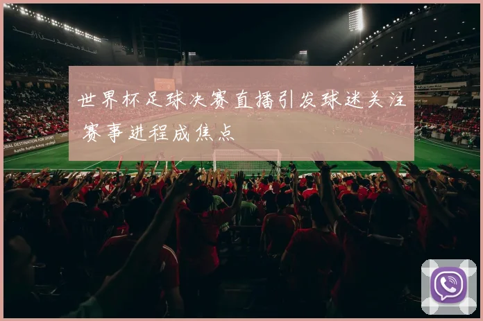世界杯足球决赛直播引发球迷关注 赛事进程成焦点