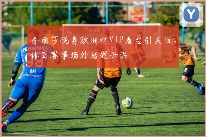 李丽莎现身欧洲杯VIP看台引关注，体育赛事场外话题升温