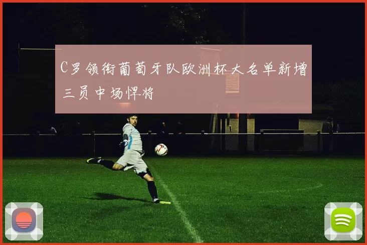 C罗领衔葡萄牙队欧洲杯大名单新增三员中场悍将