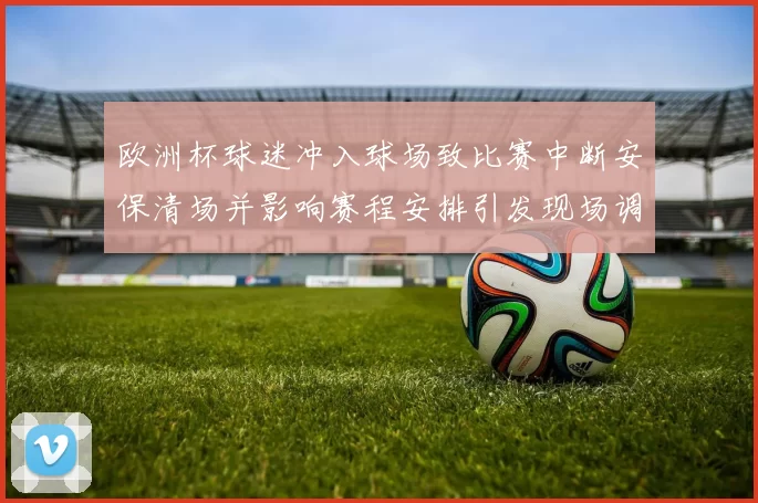 欧洲杯球迷冲入球场致比赛中断安保清场并影响赛程安排引发现场调查