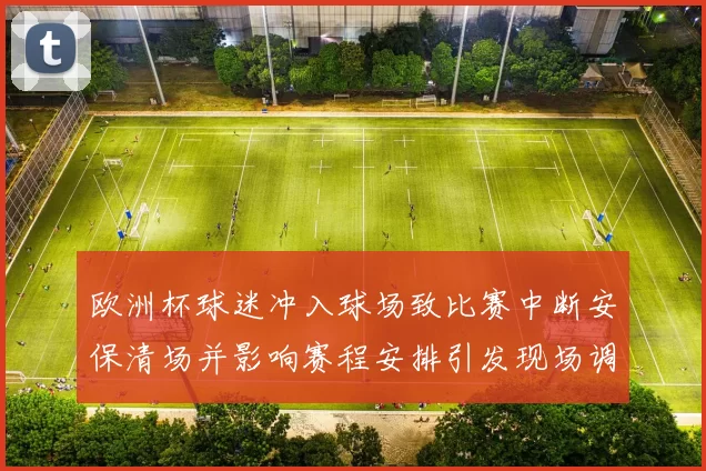 欧洲杯球迷冲入球场致比赛中断安保清场并影响赛程安排引发现场调查