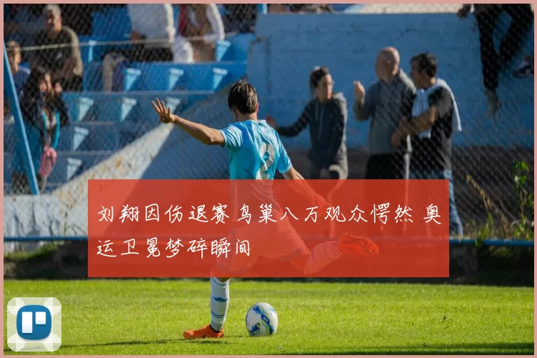 刘翔因伤退赛鸟巢八万观众愕然 奥运卫冕梦碎瞬间