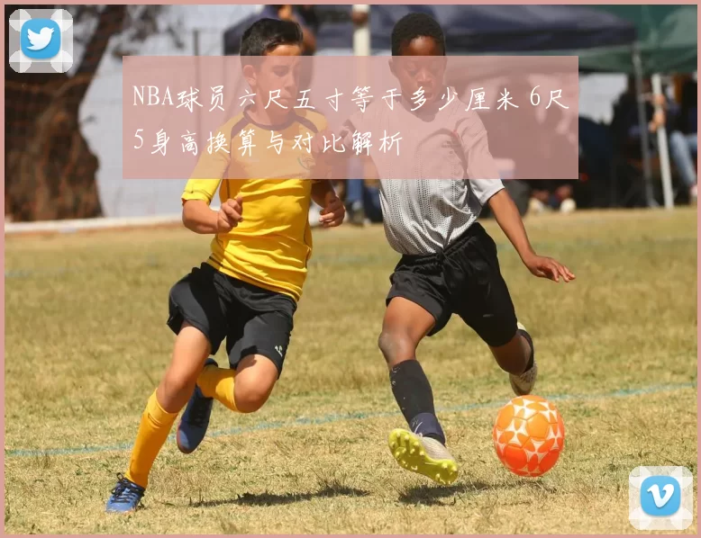 NBA球员六尺五寸等于多少厘米 6尺5身高换算与对比解析